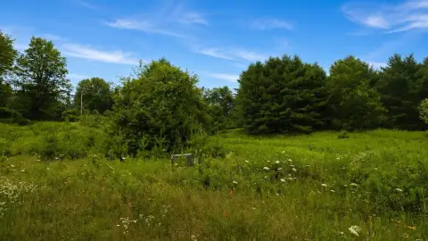Gently Wooded Residential Homesite