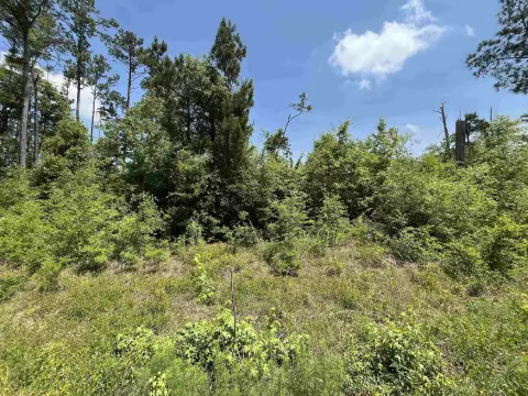 Wooded Lot Near Compass Lake