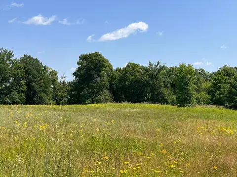 Build-Ready Lakes Area Land Parcel