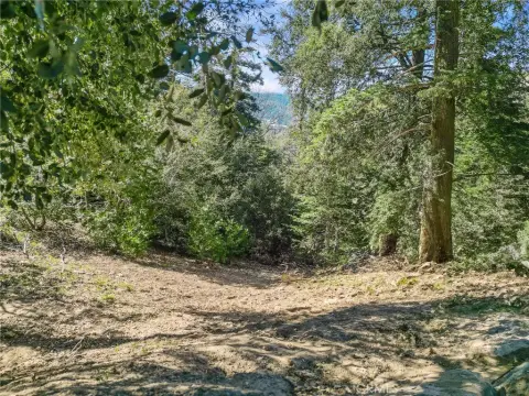 Crestline Lot in Twin Peaks