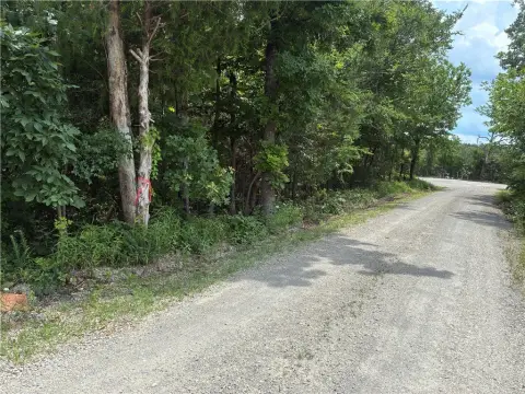 Unrestricted Wooded Hunting Land