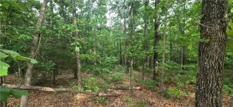 Vacant Lot in O'Neill Subdivision