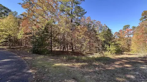 Wooded Corner Lot Near Lake