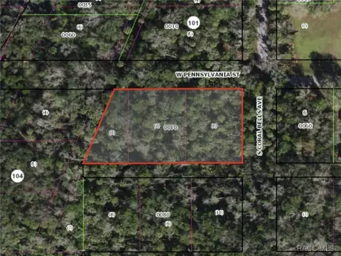 Homosassa Land For Sale