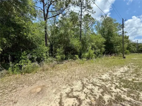 Residential Land in Citrus Springs