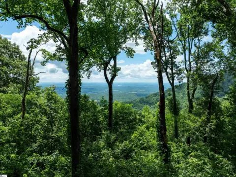 Landrum, SC Residential Lot