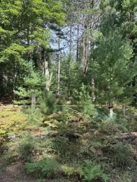 Wooded Recreation Land