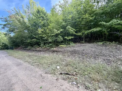 Wooded Land Parcel