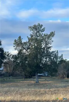 Residential Land in Established Neighborhood