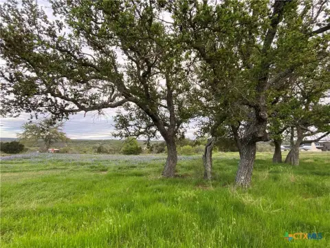 Oversized Lot with Panoramic Views