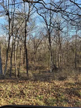 Wooded Waterfront Land