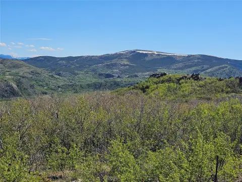 Mining Claims with Internal Roads