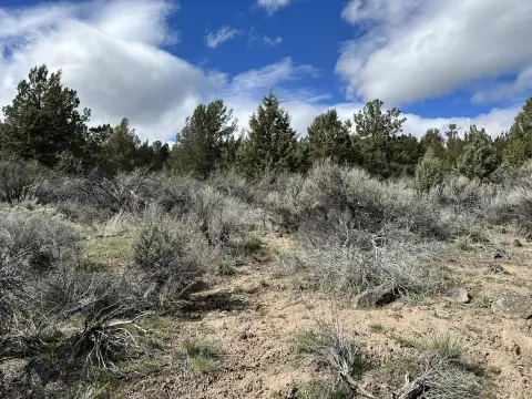 Land Near Sprague River, Oregon