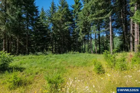 Partially Cleared Hunting Land Parcel