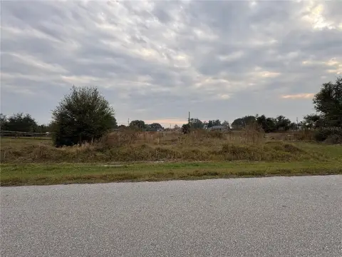 PUNTA GORDA Land For Sale