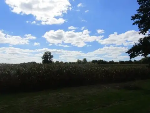 Agricultural Land