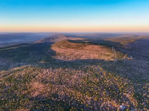 Wooded Land Tract