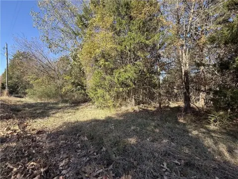 Diamond City Lot Near Lake