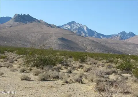 Inyokern Land Parcel For Sale