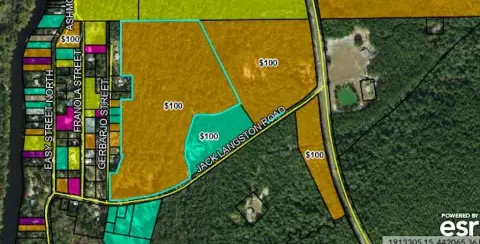 Sopchoppy Land For Sale