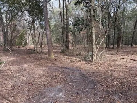 Crawfordville Vacant Lot on Tharpe