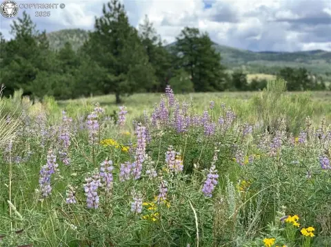 Westcliffe Land with Mountain Views