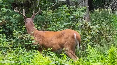 Winona Lakes Land Lot