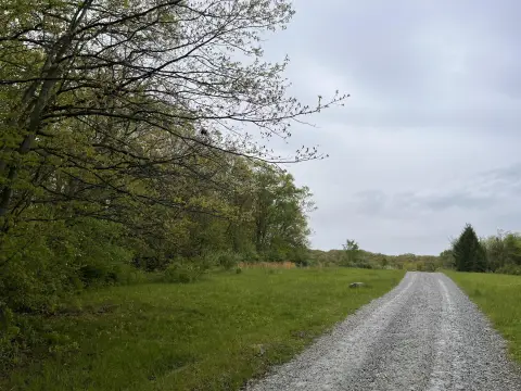 Valparaiso Wooded Land Parcel