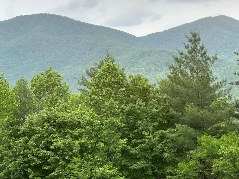 Private View Lot in Murphy