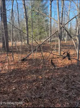 Crossville, TN Corner Lot