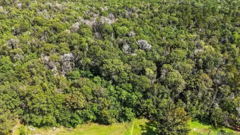 Residential Land in Denham Springs