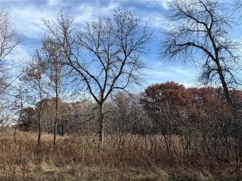 Wooded Acreage Lots Near Blue Lake