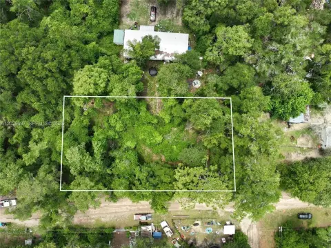Vacant Lot Near Suwannee River