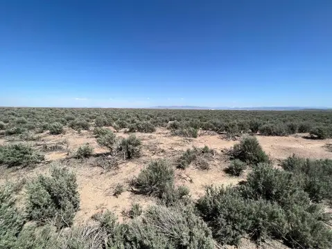 20 Acres of Land in Beryl