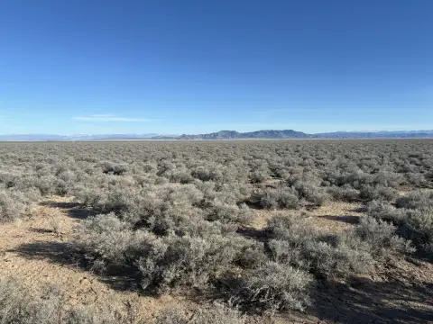 40 Acres of Land in Beryl