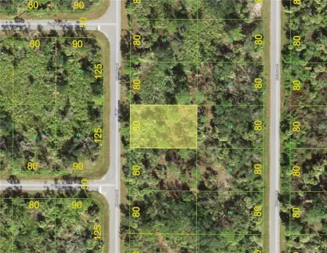 Land Near Myakka River