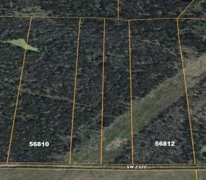 Wortham, TX Wooded Land Parcel