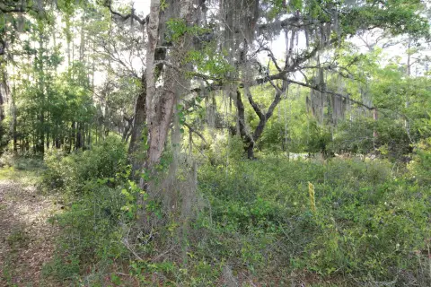 Panacea, FL Buildable Lots