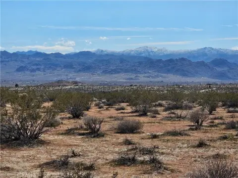 Joshua Tree Land For Sale