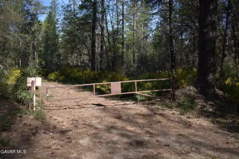 Forested Agricultural Land in Nevada