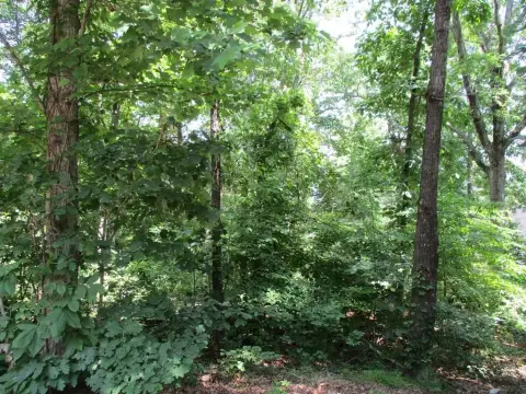 Hayesville Lot in Golf Community