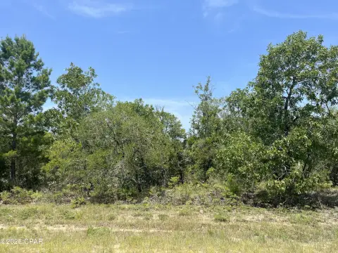 Land in Sunny Hills, Florida