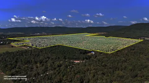 295 Acres of Hunting Land