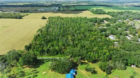 Wooded Land Parcel Near Zephyrhills