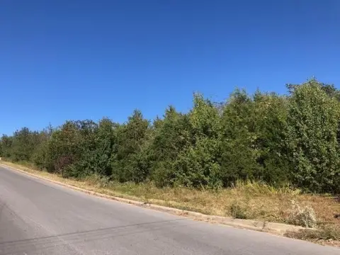 West Plains Commercial Land Opportunity