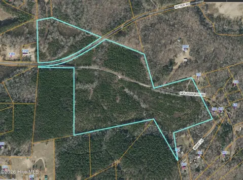 Wooded Land with Road Frontage