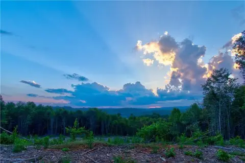 Residential Acreage with Mountain Views
