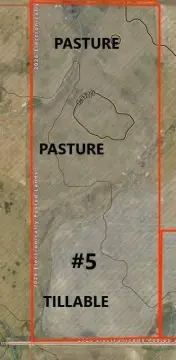 Native Pasture Farmland