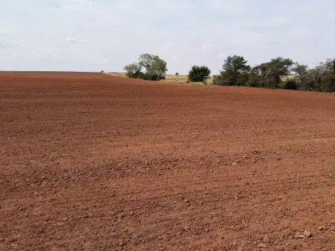 Farm with Outbuildings