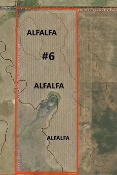 Alfalfa Farmland